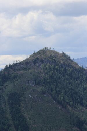 Ressen grundlsee 73788 2018-05-09.jpg