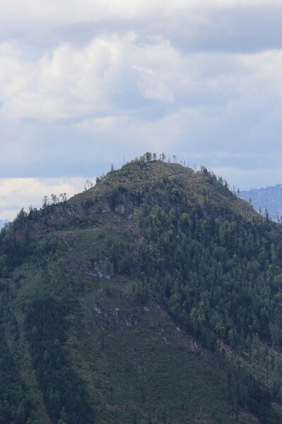 Datei:Ressen grundlsee 73788 2018-05-09.jpg