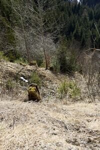 Schlapfleiten ramsau-0080-2024-02-04.jpg