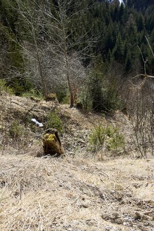 Schlapfleiten ramsau-0080-2024-02-04.jpg