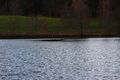 Sommersbergsee 78760 2014-11-15.jpg