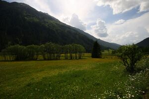 Tettermoor 22694 2008-06-02.jpg