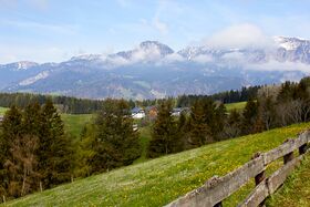 Vlg augustin spiegelsberg-0026-2023-05-04.jpg