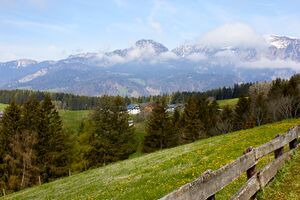 Vlg augustin spiegelsberg-0026-2023-05-04.jpg