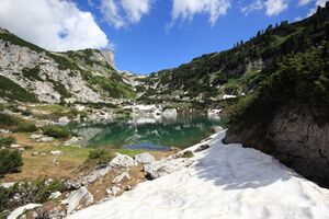 Dreibrüdersee 77406 2018-06-04.jpg