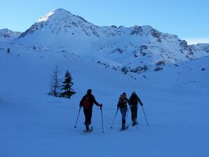 Engelkarspitze 46605 2006-01-30.jpg