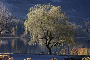 Grundlsee-See 77673 2014-11-03.jpg