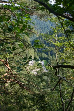 Kalvarienberg K-Landl-0178-2025-08-06.jpg