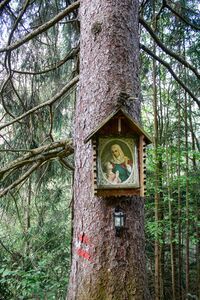 MA 9 Kirchweg pürgg-0333-2023-05-27.jpg