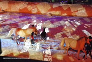 Ski WM 2013 Schladming Eroeffnung 049.jpg