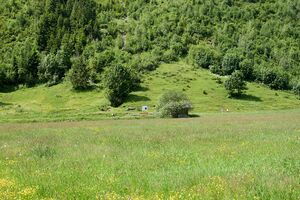 Sternenplatz ramsau-0026-2025-06-09.jpg