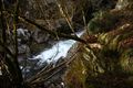 Strubschlucht 33999 2014-01-17.jpg