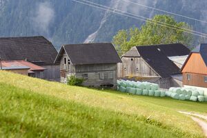 Vlg lackner dörfl zlem-0607-2023-06-09.jpg