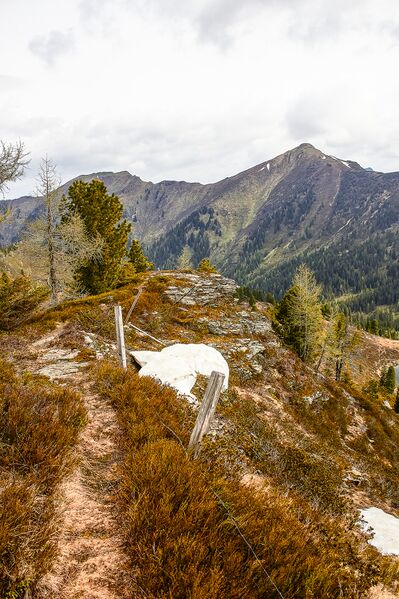 Datei:Am hühnereck-1007-2020-05-22.jpg