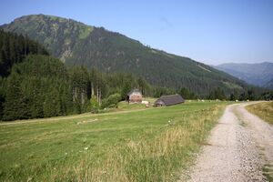 Beireutalm 1487 13-08-07.jpg