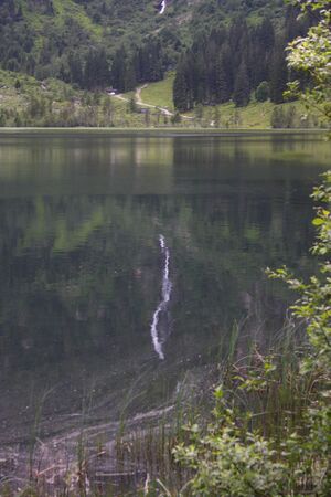 Bodensee seewigtal 63425 2014-06-21.jpg