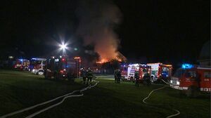 Brand winkl208481.jpg