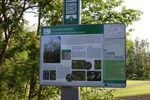 Enns-Altarme Niederstuttern 58371 2014-05-21.jpg