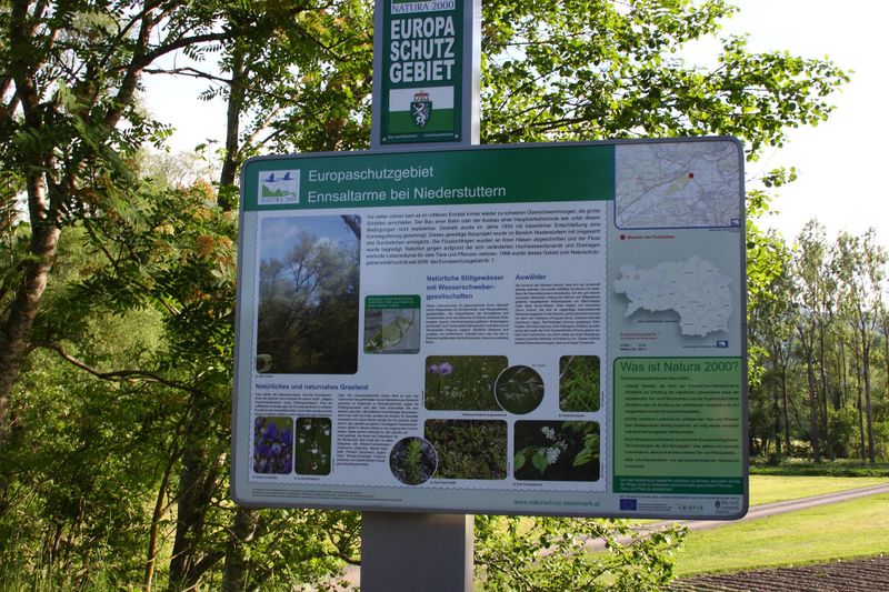 Datei:Enns-Altarme Niederstuttern 58371 2014-05-21.jpg