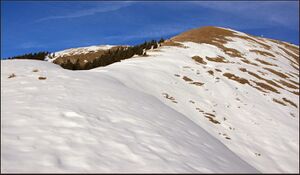 Großes Maiereck024.jpg