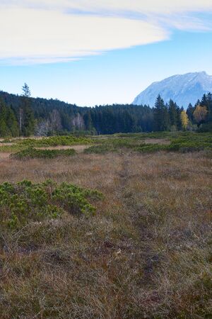 Knoppenmoos pichl-0283-2021-10-30.jpg