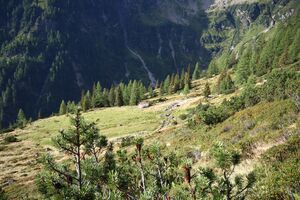 Lassachalm (Alm) 02514 2015-08-28.jpg