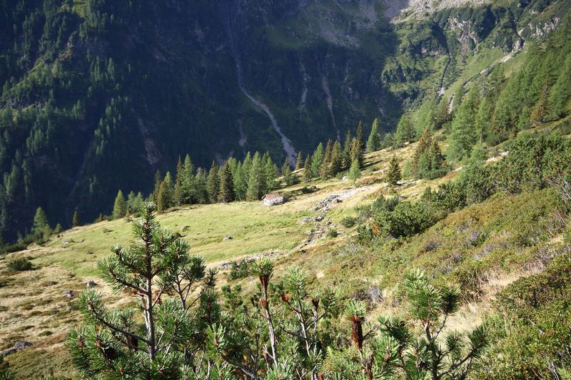 Datei:Lassachalm (Alm) 02514 2015-08-28.jpg