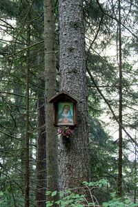 MA 13 kirchweg-0455-2023-06-09.jpg