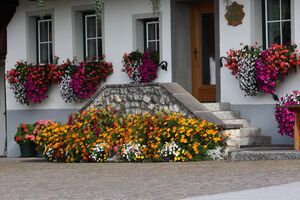 Mayerhofer-ramsau 1985 13-09-22.jpg