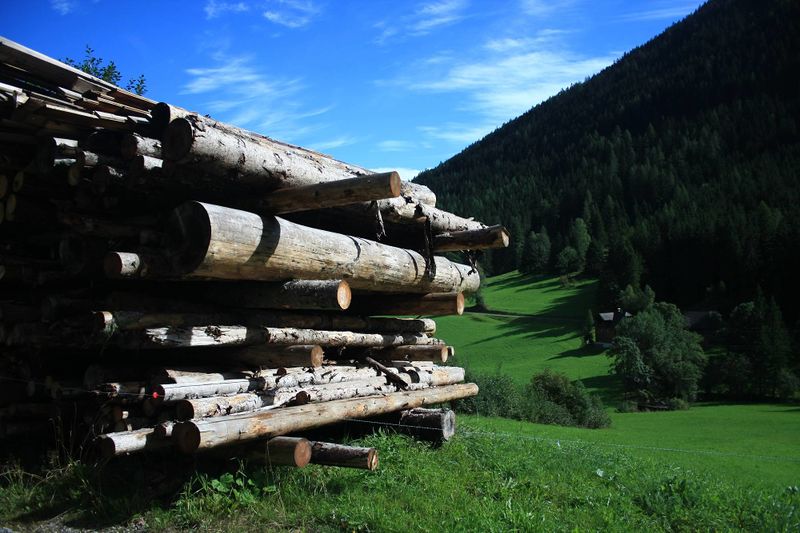 Datei:Obertal 924 13-09-11.jpg