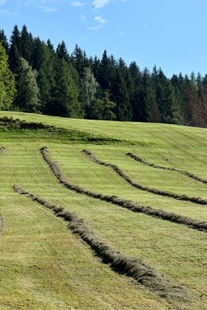 Ringlerhof Michaelerberg Ost-0024-2023-08-14.jpg