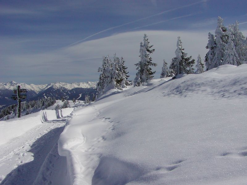 Datei:Rossbrand 2.JPG