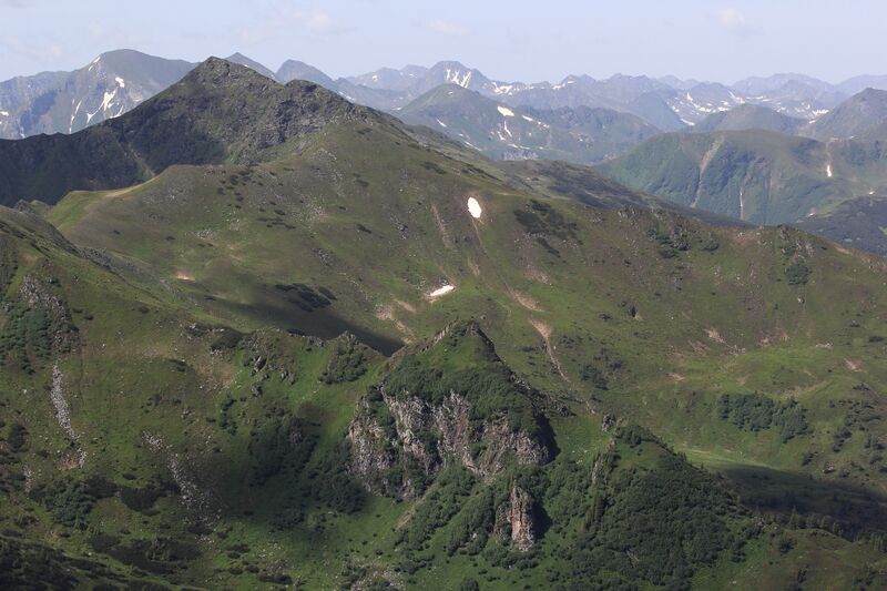 Datei:Seitnerzinken -sommereck 78153 2018-06-11.jpg