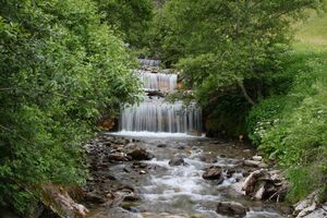 Strickerbach fleiß 44606 2012-06-12.jpg