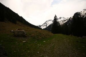 Strickerkar 55727 2014-05-02.jpg