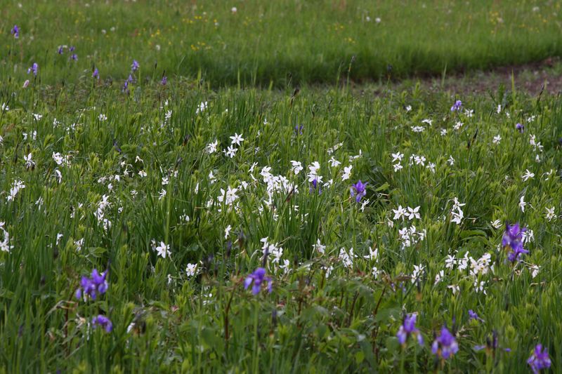 Datei:Trautenfels niederstuttern 57815 2014-05-14.jpg