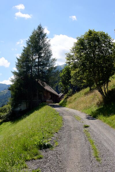Datei:Vlg schröck schattenberg 48-0444-2023-08-11.jpg