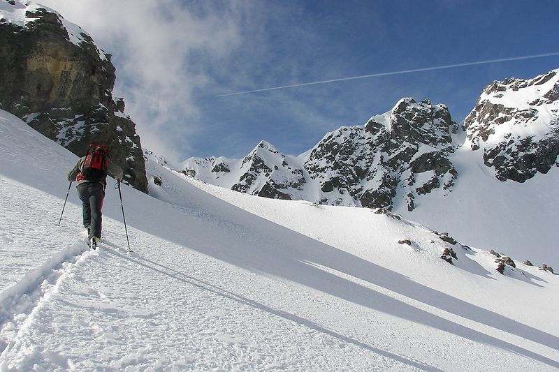 Datei:Wildkar 2388 2006-04-10.jpg