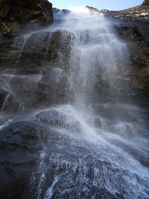 Wsf wildkar 0327 10-09-21.jpg