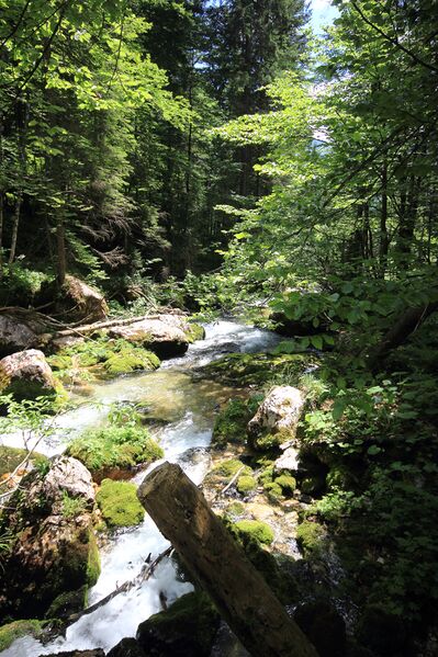 Datei:Zimitzbach grundlsee 77309 2018-06-04.jpg