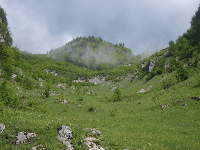 Datei:Aktuell Kalktal 2003 Sommer.jpg