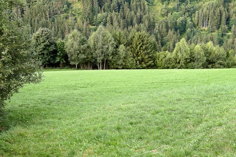 Datei:Asinger sonnberg öblarn-0247-2023-08-25.jpg