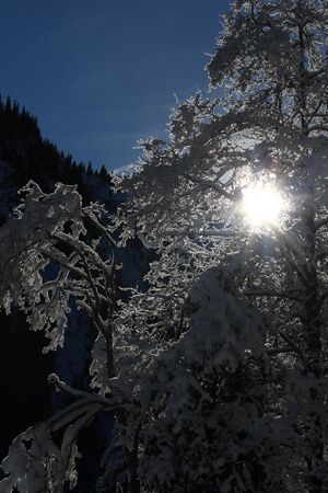 Bodensee 26534 2014-01-01.jpg