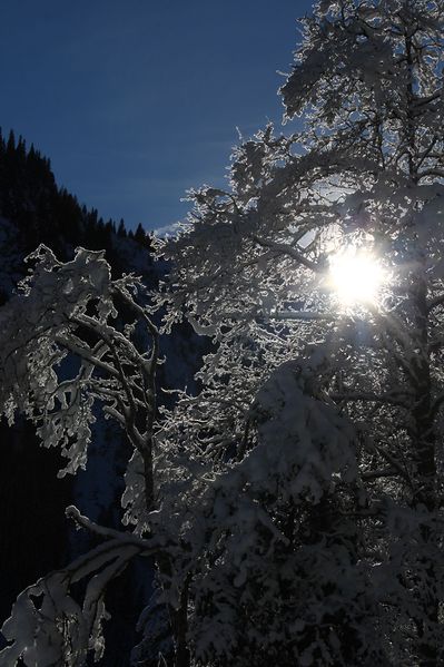 Datei:Bodensee 26534 2014-01-01.jpg