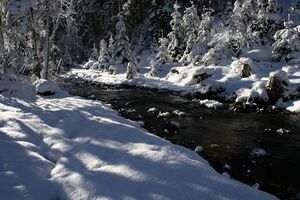 Bodenseerbach 26725 2014-01-01.jpg