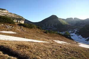 Bräuningalm 51009 2017-06-11.jpg