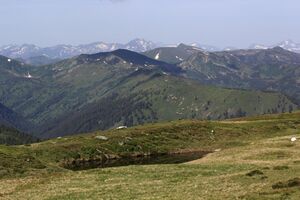 Brennkogel -sommereck 78139 2018-06-11.jpg