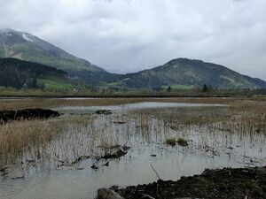 Frauenberger Torfstich070276.JPG