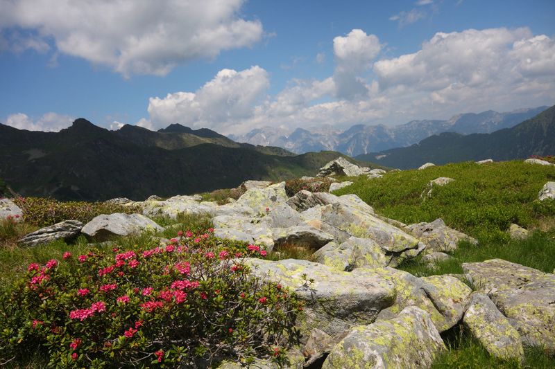 Datei:Herzmaierkar 32576 2011-07-06.jpg