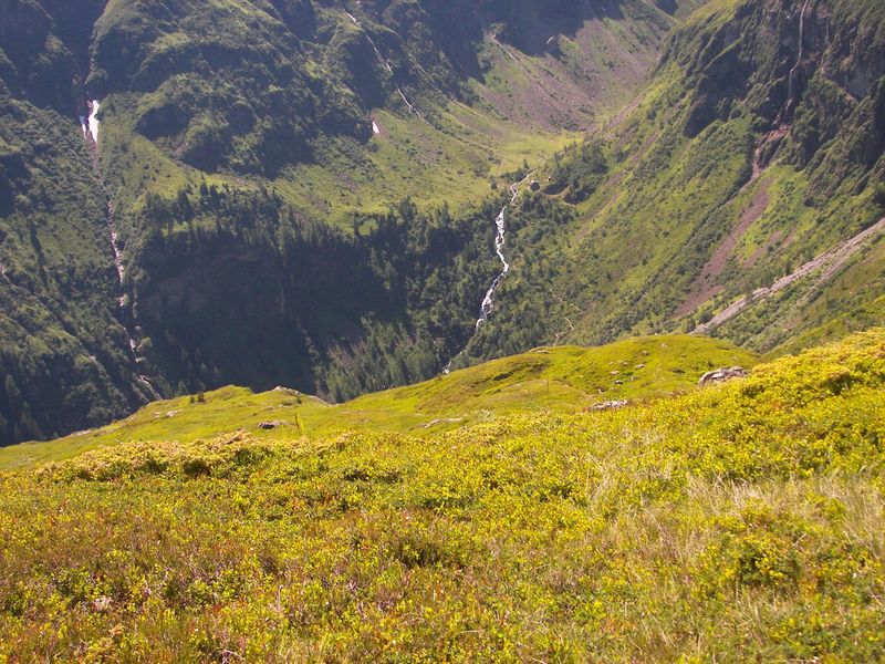 Datei:Im stegerkar 17691 2006-07-17.jpg